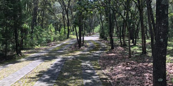 PHOTO-2024-12-29-13-40-10 2